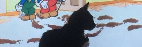 Header of zorrotumb